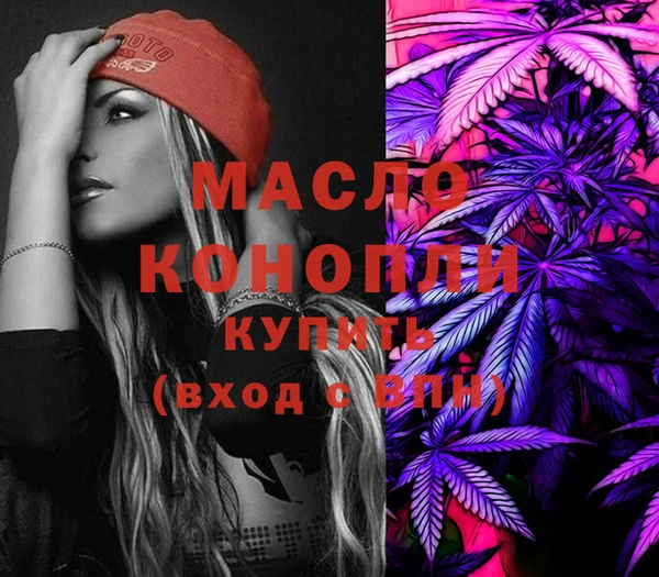 молекула духа Снежинск