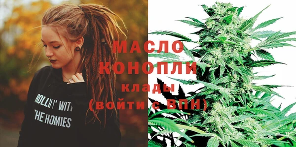 молекула духа Снежинск