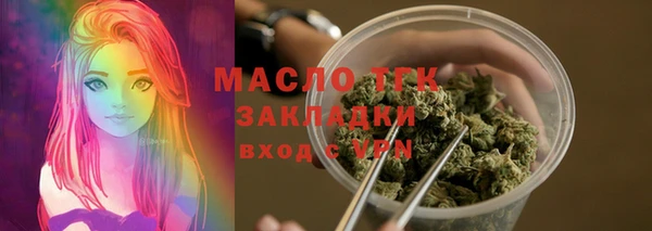 молекула духа Снежинск