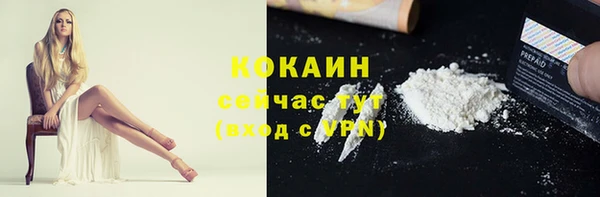молекула духа Снежинск