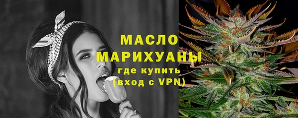 молекула духа Снежинск
