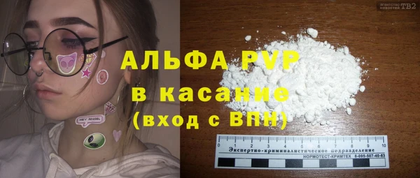 молекула духа Снежинск