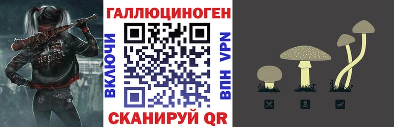 Галлюциногенные грибы MAGIC MUSHROOMS  блэк спрут tor  Шумерля 